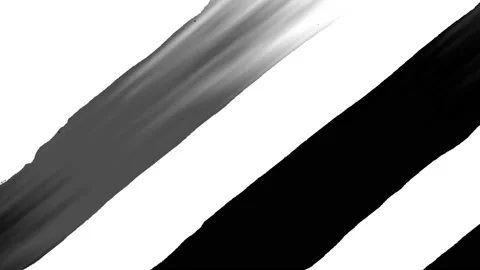 4K ink paint white brush stroke transition animation. More elements in our portf Stock Footage 203946571