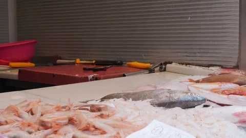 4k interior tight static shot of a fish market stall with fresh fishes, squids, Stock Footage 124252334