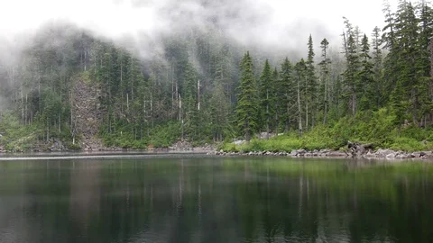 4K Ira Spring North Bend WA Vídeo Stock 70796099