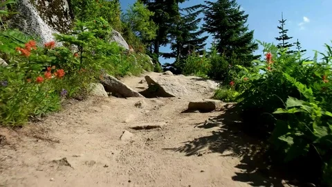 4K Ira Spring North Bend WA Vídeo Stock 70796296
