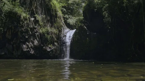 4K: Isolated Junlge Pond and Water Fall Flowing /Amazing/Amazon, Tropical. Stock Footage 72990454