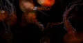 4K Jellyfish 07 Underwater 4k or 4k+ Resolution