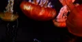 4K Jellyfish 10 Underwater 4k or 4k+ Resolution
