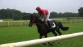 4k Jockey with racing horse enter the course 4k or 4k+ Resolution