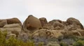 4K Joshua Tree Time Lapse 01 Skull Rock in Mojave Desert 4k or 4k+ Resolution
