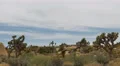 4K Joshua Tree Time Lapse 03 Mojave Desert 4k or 4k+ Resolution