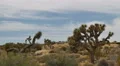 4K Joshua Tree Time Lapse 05 Mojave Desert 4k or 4k+ Resolution