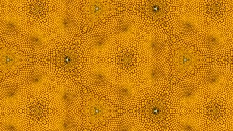 4K kaleidoscope backdrop of gerbera flowers macro, white and yellow. Zoom out Video stock 123003181