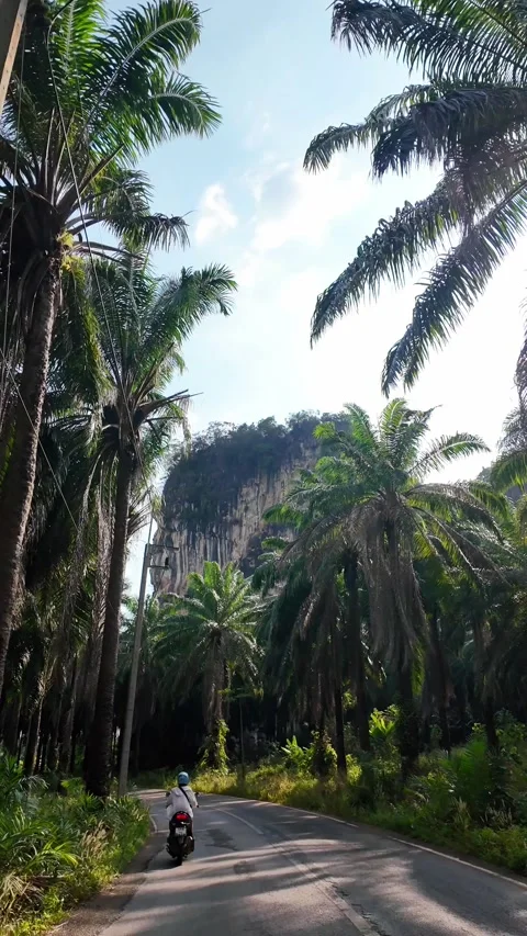 4K Khao Phap Pha Pass Road, Thailand | April 30 2026 | Scenic View Stock Footage 333780146