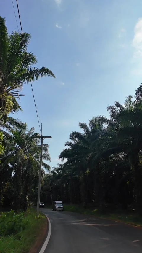 4K Khao Phap Pha Pass Road, Thailand | April 30 2026 | Scenic View Stock Footage 333780169