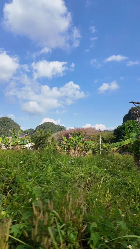 4K Khao Phap Pha Pass Road, Thailand | April 30 2026 | Scenic View Stock Footage 333780203