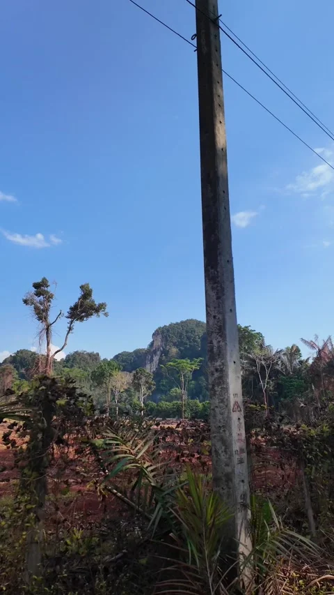 4K Khao Phap Pha Pass Road, Thailand | April 30 2026 | Scenic View Stock Footage 333780218
