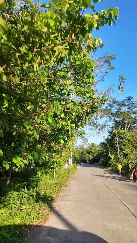 4K Khao Phap Pha Pass Road, Thailand | April 30 2026 | Scenic View Stock Footage 333780460