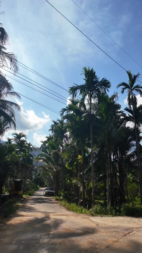 4K Khao Phap Pha Pass Road, Thailand | April 30 2026 | Scenic View Stock Footage 333780907