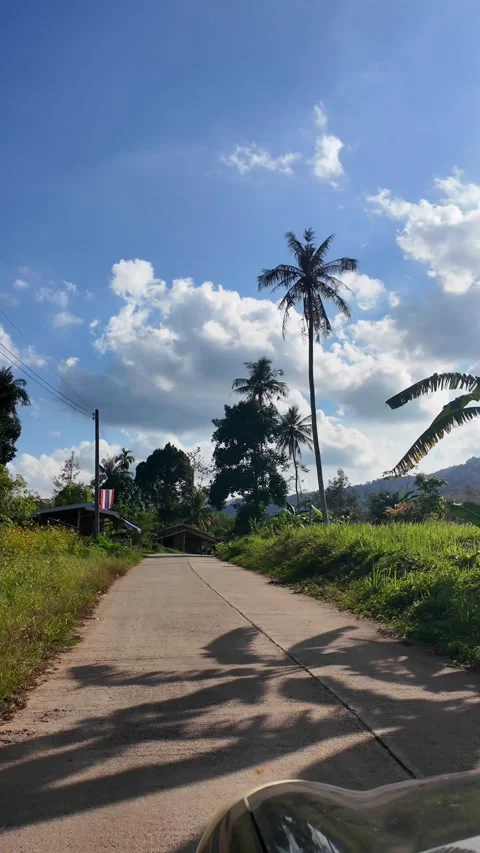4K Khao Phap Pha Pass Road, Thailand | April 30 2026 | Scenic View Stock Footage 333781006