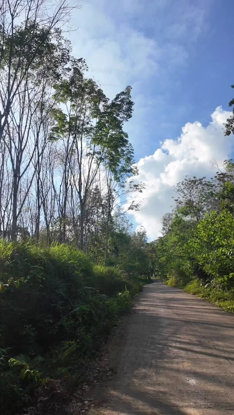 4K Khao Phap Pha Pass Road, Thailand | April 30 2026 | Scenic View Video stock 333781064