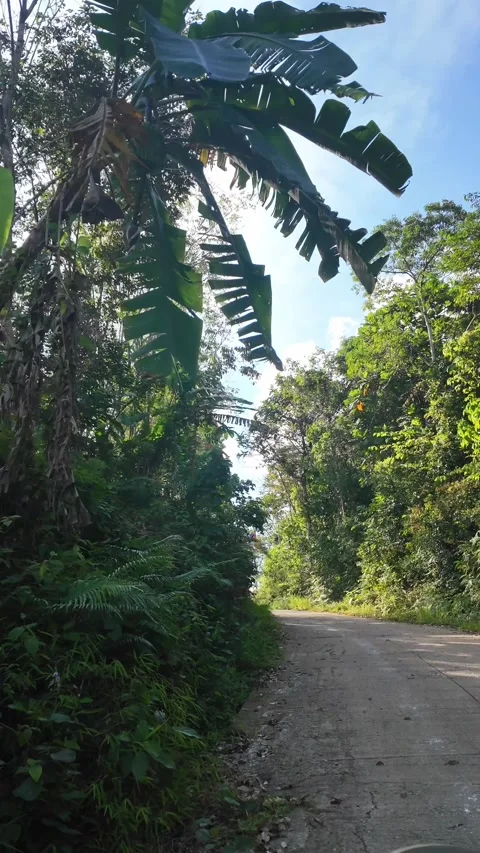 4K Khao Phap Pha Pass Road, Thailand | April 30 2026 | Scenic View Stock Footage 333781094
