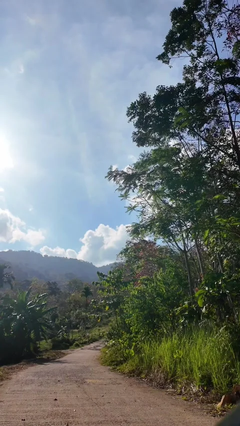 4K Khao Phap Pha Pass Road, Thailand | April 30 2026 | Scenic View Stock Footage 333781287