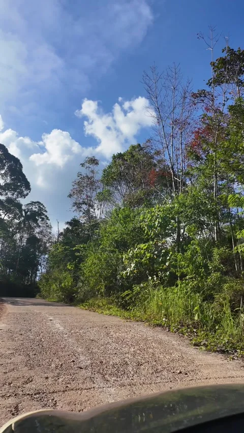 4K Khao Phap Pha Pass Road, Thailand | April 30 2026 | Scenic View Stock Footage 333781294