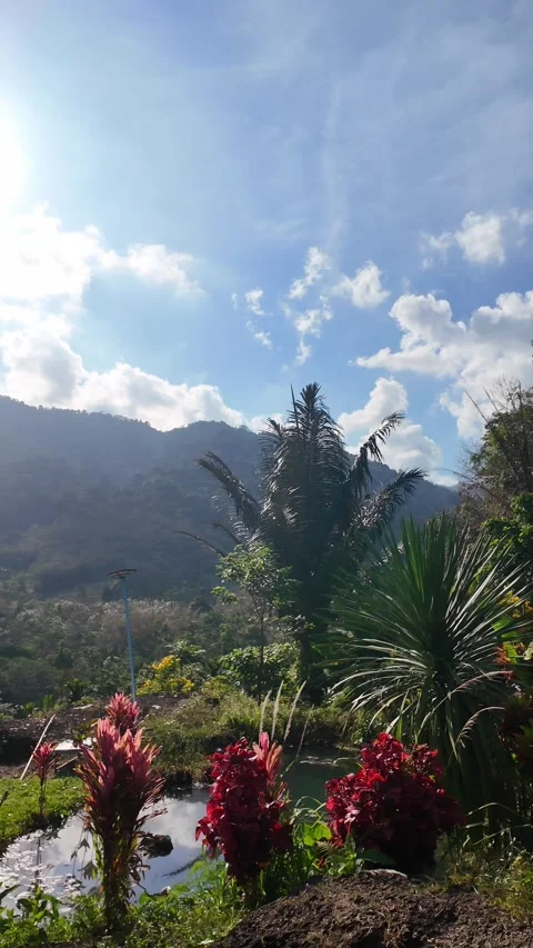 4K Khao Phap Pha Pass Road, Thailand | April 30 2026 | Scenic View Stock Footage 333781356