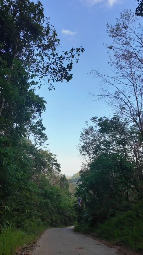 4K Khao Phap Pha Pass Road, Thailand | April 30 2026 | Scenic View Stock Footage 333782133