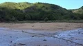 4k Komodo dragon walking zoom in dry mangrove swamp Rinca island 4k or 4k+ Resolution