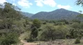 4k Komodo island national park landscape panning 4k or 4k+ Resolution