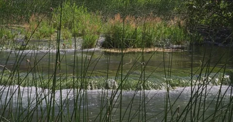 4K Krka river cascade Stock Footage 46028499