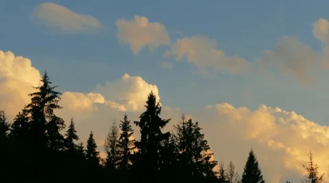 4k, The landscape in the forest, fast clouds(timelapse) Stock Footage 52516118