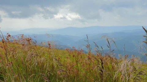 4k, The landscape in the forest Stock Footage 54620354