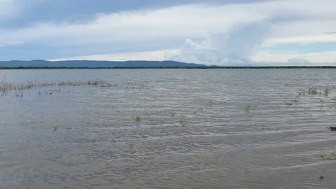 4K landscape, sky coud and pond Stock Footage 81497349