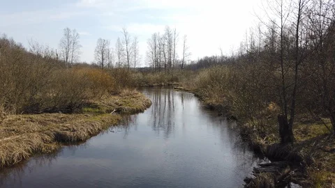4k landscape with small river and banks in a forrest, spring or autumn season Stock Footage 129871488