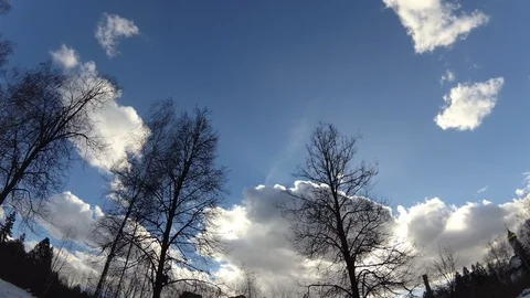 4K Landscape view of Trees and sunny sky with clouds landscape gopro Video stock 104290253