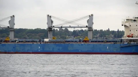 4K Large Cargo Container Ship, Seagull Bird Flying, Sea Ocean Marine Transport Stock-Footage 80344783