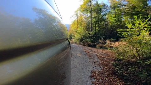 4K LD Low angle shot of a car reflecting the trees while driving Stock Footage 118546863