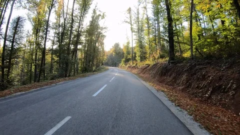 4K LD Point of  view of a car driving on a asphalt road near forest in autumn Stock Footage 118857709