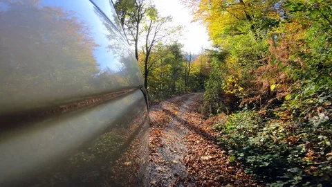 4K LD Trees reflecting on the back of the car driving on the forest Stock Footage 118546713