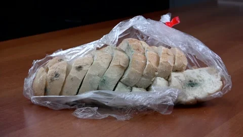 4K Leftover bread grows moldy on the table Video stock 131993002