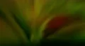 4K Light Rays 19 Animation Loop 4k or 4k+ Resolution