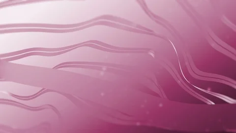 4K Lines wave shape Backgrounds Pink Stock Footage 109348214
