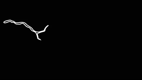 4K Liquid Elements Doodle. Drag and drop Stock Footage 114164826