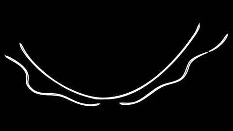 4K Liquid Elements Doodle. Drag and drop Stock Footage 114239478