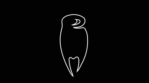 4K Liquid Elements Doodle. Drag and drop Stock Footage 114239816