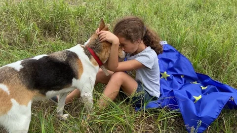 Dog Knotting Girl Stock Video Footage Royalty Free Dog Knotting Girl
