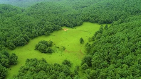 4K Live Filming Capturing Serene Mountain Grassland in Nature Stock Footage 319664400
