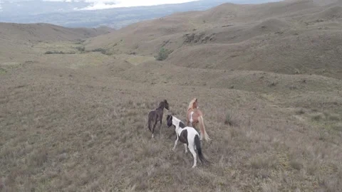 4K Log Drone Approaching 3 Horses on Brownish Hillside in Willdness Ecuador Stock Footage 274291047
