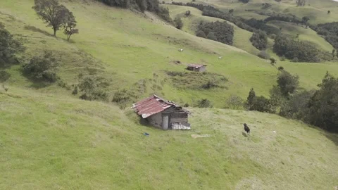 4K Log Drone Flying over Green Hillside with Huts, Cows and Houses Ecuador Stock Footage 272848665