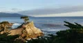 4K Lone Cypress 01 Sunset Ocean 17 Miles Drive Monterey California 4k or 4k+ Resolution