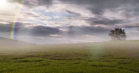 4k Lone Tree on a hill with a rainbow Time lapse. Stock Footage 71648648