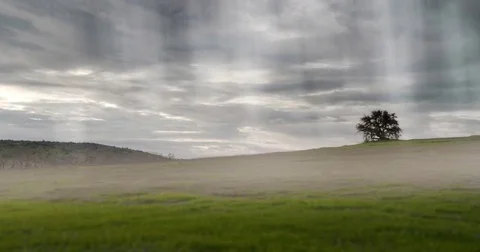 4k Lone Tree on a hill  Time lapse. Stock Footage 71648721